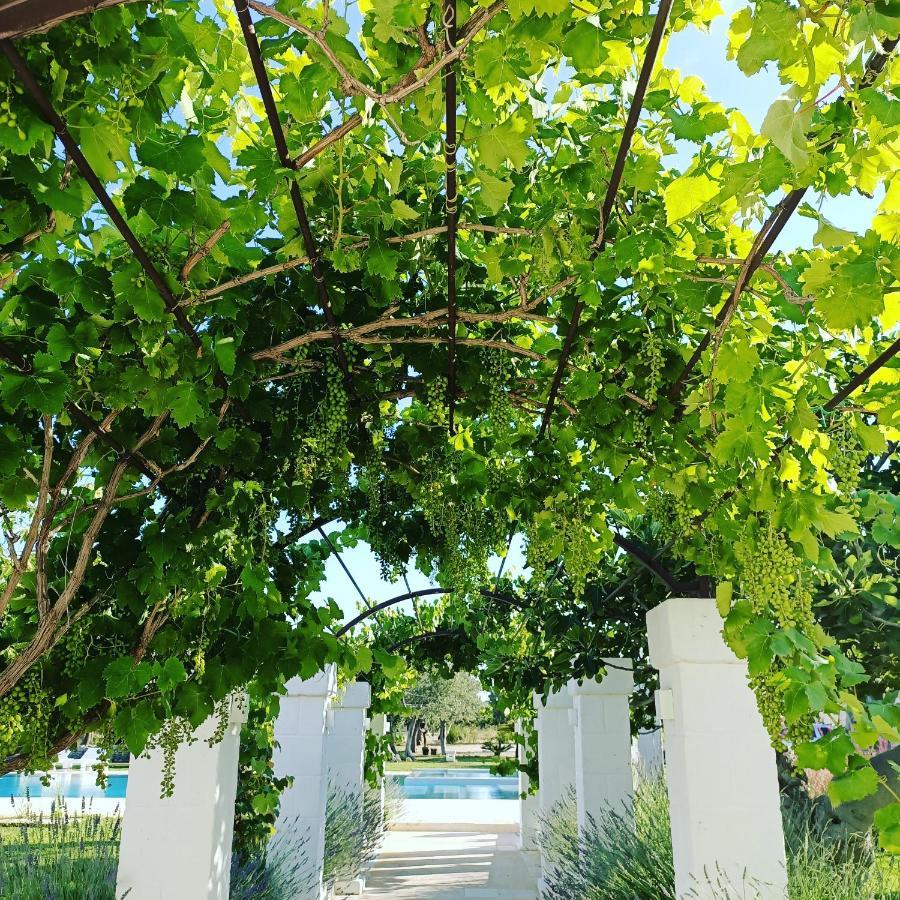 Masseria Almadava Polignano a Mare Zewnętrze zdjęcie