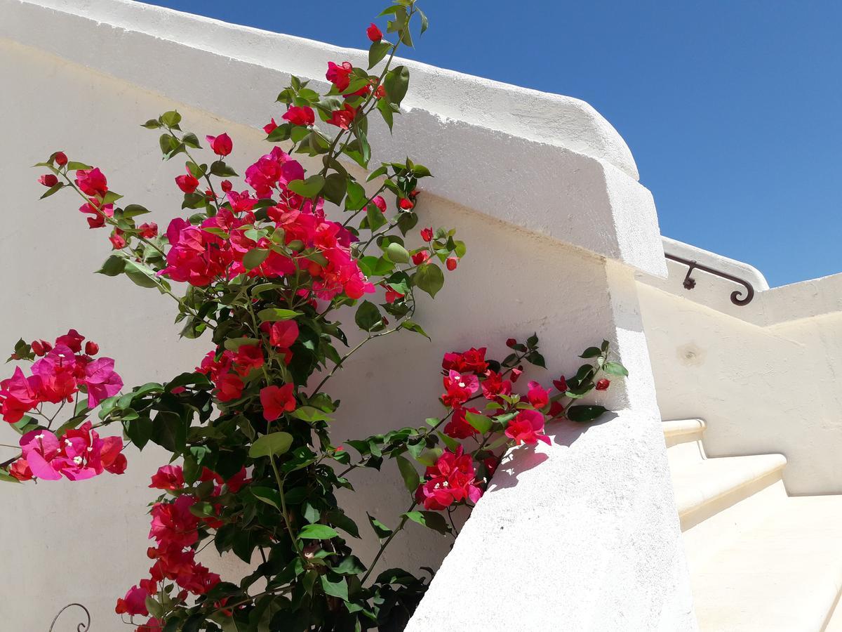 Masseria Almadava Polignano a Mare Zewnętrze zdjęcie